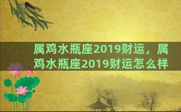 属鸡水瓶座2019财运，属鸡水瓶座2019财运怎么样