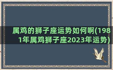 属鸡的狮子座运势如何啊(1981年属鸡狮子座2023年运势)