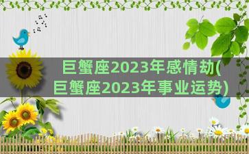 巨蟹座2023年感情劫(巨蟹座2023年事业运势)