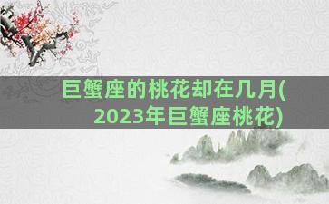 巨蟹座的桃花却在几月(2023年巨蟹座桃花)