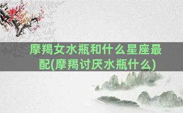 摩羯女水瓶和什么星座最配(摩羯讨厌水瓶什么)