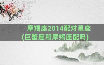 摩羯座2014配对星座(巨蟹座和摩羯座配吗)