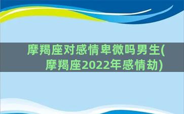 摩羯座对感情卑微吗男生(摩羯座2022年感情劫)