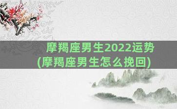 摩羯座男生2022运势(摩羯座男生怎么挽回)