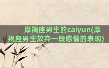 摩羯座男生的caiyun(摩羯座男生放弃一段感情的表现)