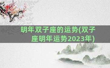 明年双子座的运势(双子座明年运势2023年)