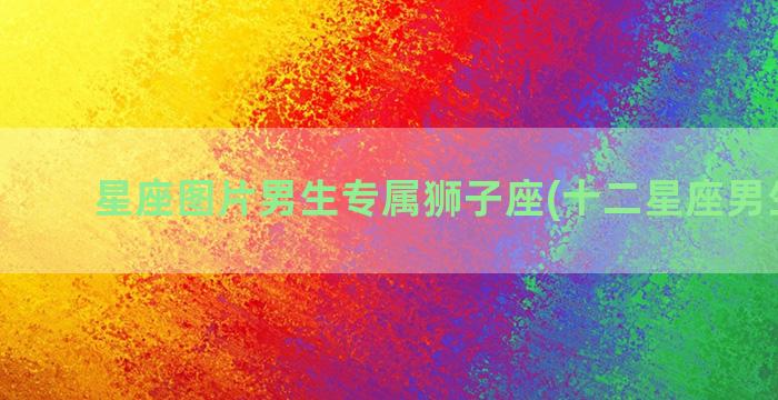 星座图片男生专属狮子座(十二星座男生图片)