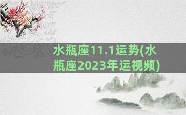 水瓶座11.1运势(水瓶座2023年运视频)