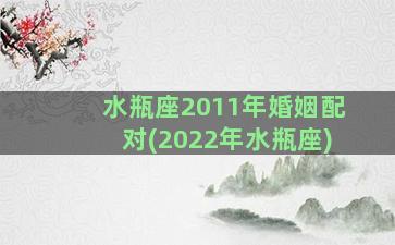 水瓶座2011年婚姻配对(2022年水瓶座)