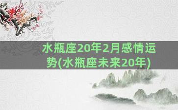 水瓶座20年2月感情运势(水瓶座未来20年)