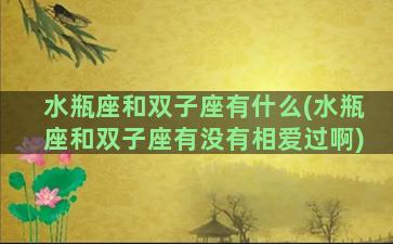 水瓶座和双子座有什么(水瓶座和双子座有没有相爱过啊)