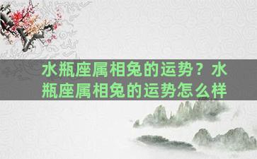 水瓶座属相兔的运势？水瓶座属相兔的运势怎么样