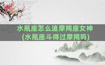 水瓶座怎么追摩羯座女神(水瓶座斗得过摩羯吗)