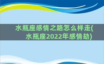 水瓶座感情之路怎么样走(水瓶座2022年感情劫)