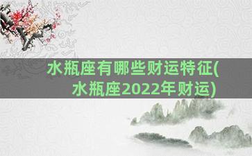 水瓶座有哪些财运特征(水瓶座2022年财运)