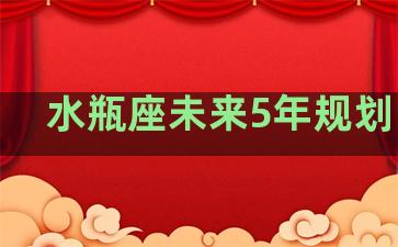 水瓶座未来5年规划图片