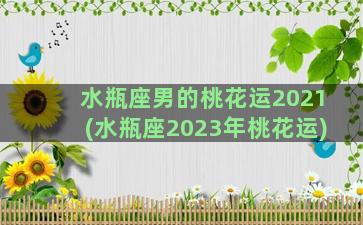 水瓶座男的桃花运2021(水瓶座2023年桃花运)