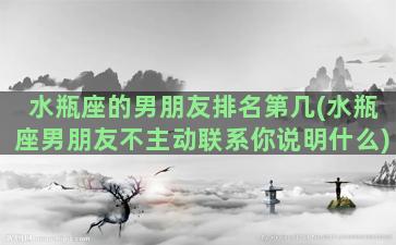 水瓶座的男朋友排名第几(水瓶座男朋友不主动联系你说明什么)