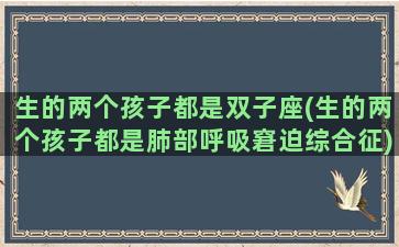 生的两个孩子都是双子座(生的两个孩子都是肺部呼吸窘迫综合征)