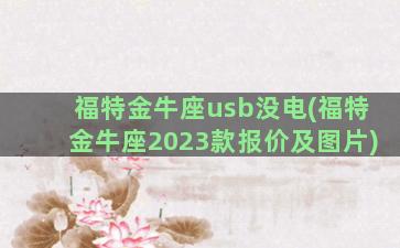 福特金牛座usb没电(福特金牛座2023款报价及图片)