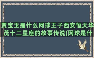 贾宝玉是什么网球王子西安恒天华茂十二星座的故事传说(网球是什么事件)