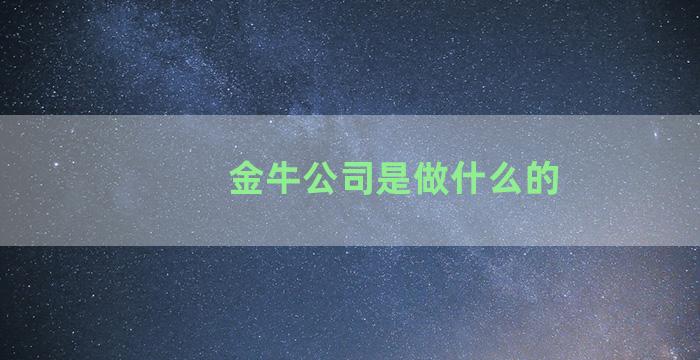 金牛公司是做什么的