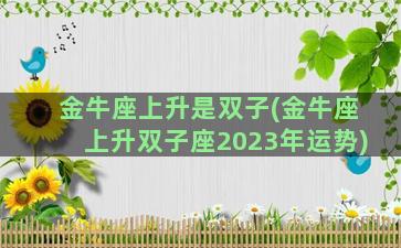 金牛座上升是双子(金牛座上升双子座2023年运势)