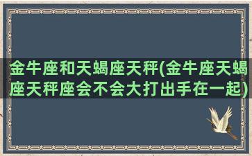 金牛座和天蝎座天秤(金牛座天蝎座天秤座会不会大打出手在一起)