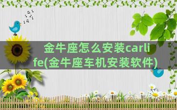 金牛座怎么安装carlife(金牛座车机安装软件)