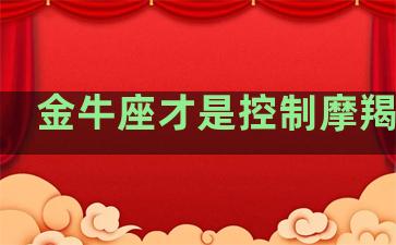 金牛座才是控制摩羯座的