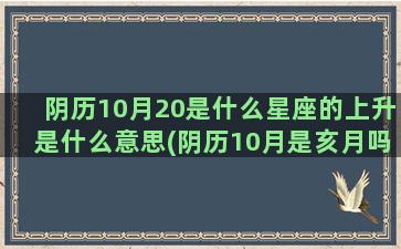 阴历10月20是什么星座的上升是什么意思(阴历10月是亥月吗)