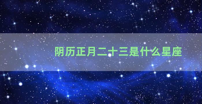 阴历正月二十三是什么星座